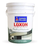 LOXON FRENTES Y MEDIANERAS SHERWIN 20LTS