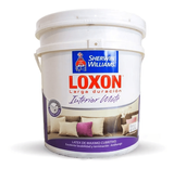 LOXON INTERIOR MATE BLANCO LD 10 LITROS