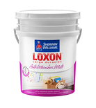 LOXON INTERIOR ANTIMANCHAS MATE 20LTS