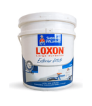 LOXON EXTERIOR ACRILICO LD  10L
