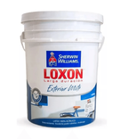 LOXON EXTERIOR ACRILICO LD 20L